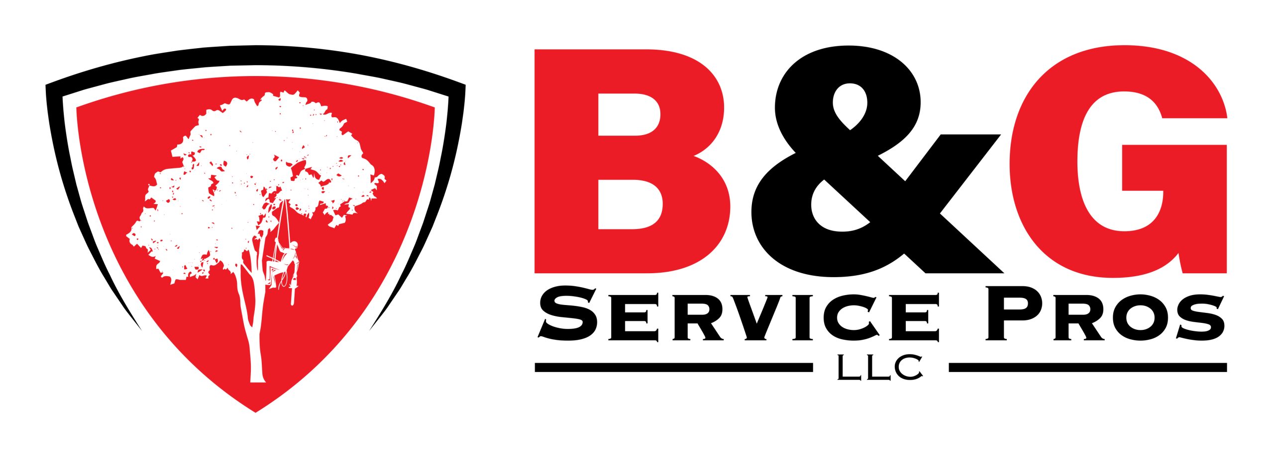 www.bgservicepros.com
